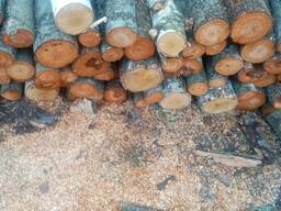 Продам дрова (береза - вільха дуб) метрові і, різані. Самовівиз