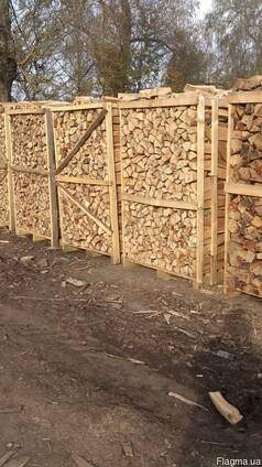 Продам дрова бук на експорт