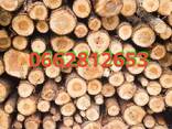 Продам дрова дуб - фото 1