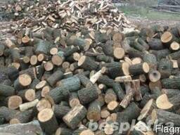 Продам дрова (дуб,акация)