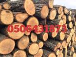 Продам дрова дубовые в чурках - фото 1