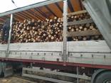 Продам дрова Київ - фото 1