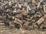 Продам дрова опт - фото 2