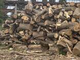 Продам дрова опт - фото 3