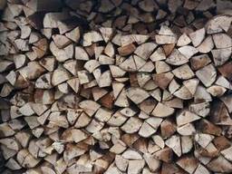 Продам дрова різних порід!