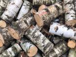 Продам дрова різних порід Львів(Львівська облст. ) - фото 2