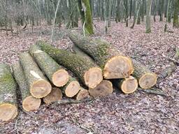 Продам дрова сосна