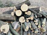 Продам дрова сосна , акация , микс . - фото 2