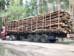 Продам дрова соснові, 2-4 м, 1500 грн. м. куб, доставка по Київу