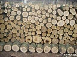 Продам дрова твердых пород Акация, Ясень