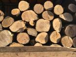 Продам в больших количествах дрова твердых пород и фруктовые