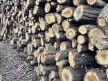 Продам дрова твёрдые породы - фото 1