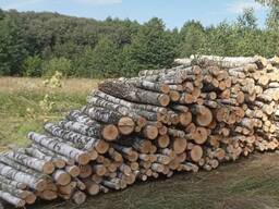 Продам Дрова (Вільха, Береза, Сосна)