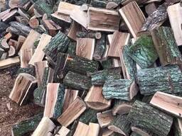 Продам дубові дрова Луцьк