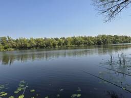 Продам дві ділянки у лісі з виходом до р. Орель, Царичанський район.
