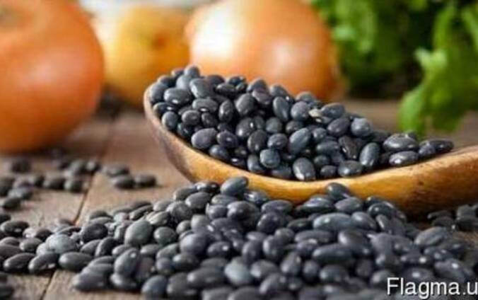 Продам фасоль черную