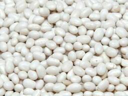 Продам фасоль в Черкасской области