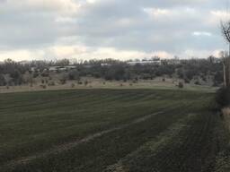 Продам фермерське господарство - 330 га в Одеській області.