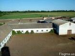 Продам ферму по трассе Харьков-Киев в 65 км от Харькова - фото 1