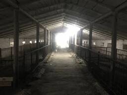 Продам ферму, свинокомплекс, склад