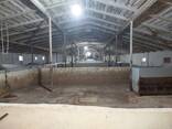 Продам готовый бизнес свино- комплекс - фото 3