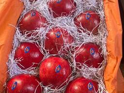 ПРОДАМ ГРАНАТ