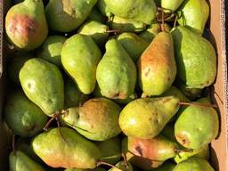 Продам Груши
