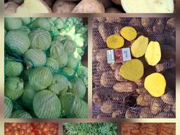 Продам капусту Строідор