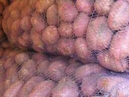 Продам картофель розница