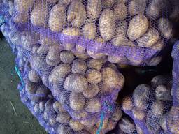 Продам картоплю