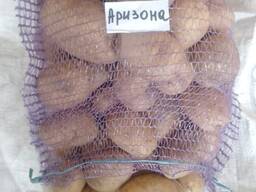 Продам картоплю товарну