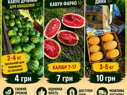Продам кавун оптом