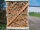 Продам колоті дрова камерної сушки - фото 6