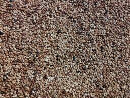 Продам косточку шиповника, Днепр