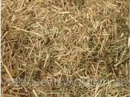 Продам костру льону/коноплі