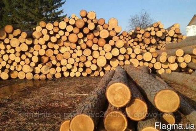 Продам кругляк сосны. Любые размеры.