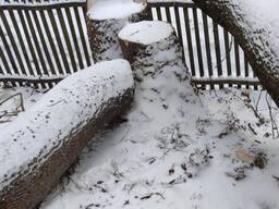 Продам кругляк ясеня, та необрізну дошку горіха.