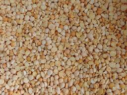 Продам крупу горох кол. мішок 25кг. Виробник.