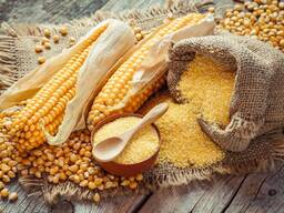 Продам кукурудзу оптом експорт гуртом