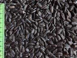 Продам сировину СПК , Лакомки