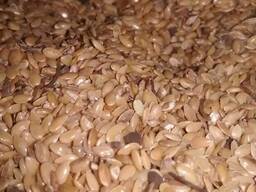 Продам лен золотистый