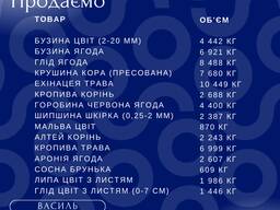Продам лікарські рослини і ягоди (експортна якість)