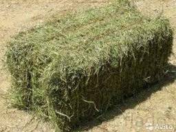 Продам луговое сено