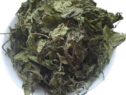 Продам листя бузини чорної