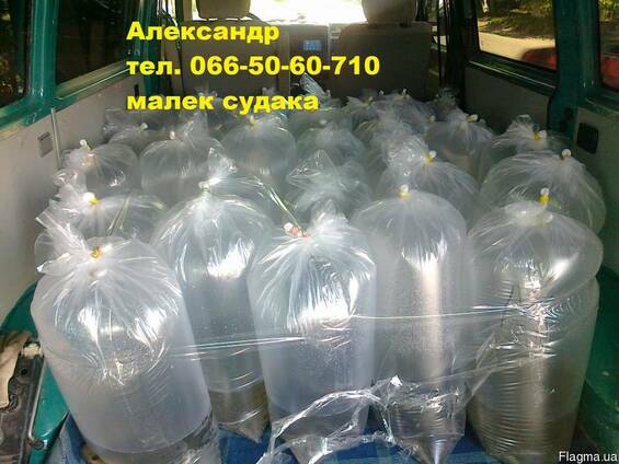 Продам малек (зарыбок) судака n/