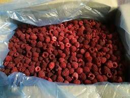 Продам Малину замороженную