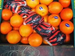 Продам Мандарин