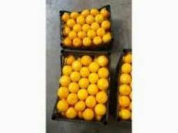Продам мандарины Грузии, Турции оптом и мелким оптом