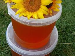 Продам мед з соняшника 2 відра по 10л
