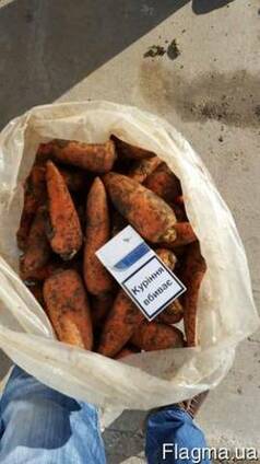 Продам морковь